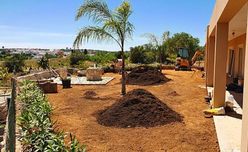 Mature palm replanted in a newly landscaped garden bed with a small excavator nearby
